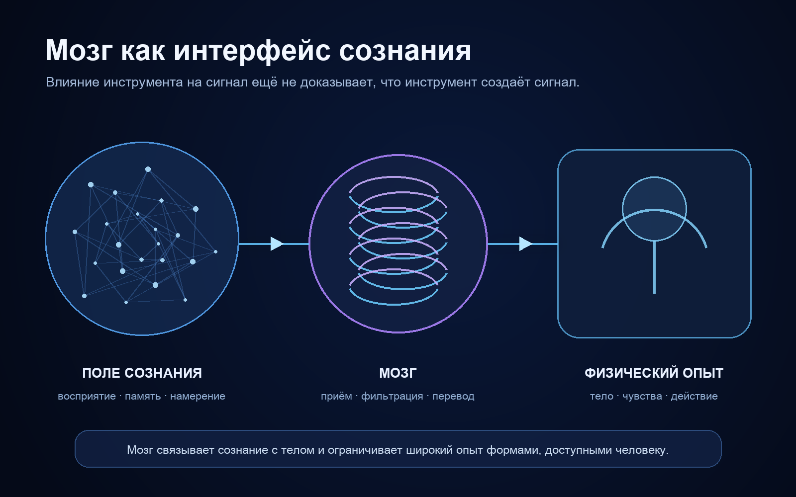 Схема авторской модели: поле сознания, мозг как интерфейс и физический опыт.