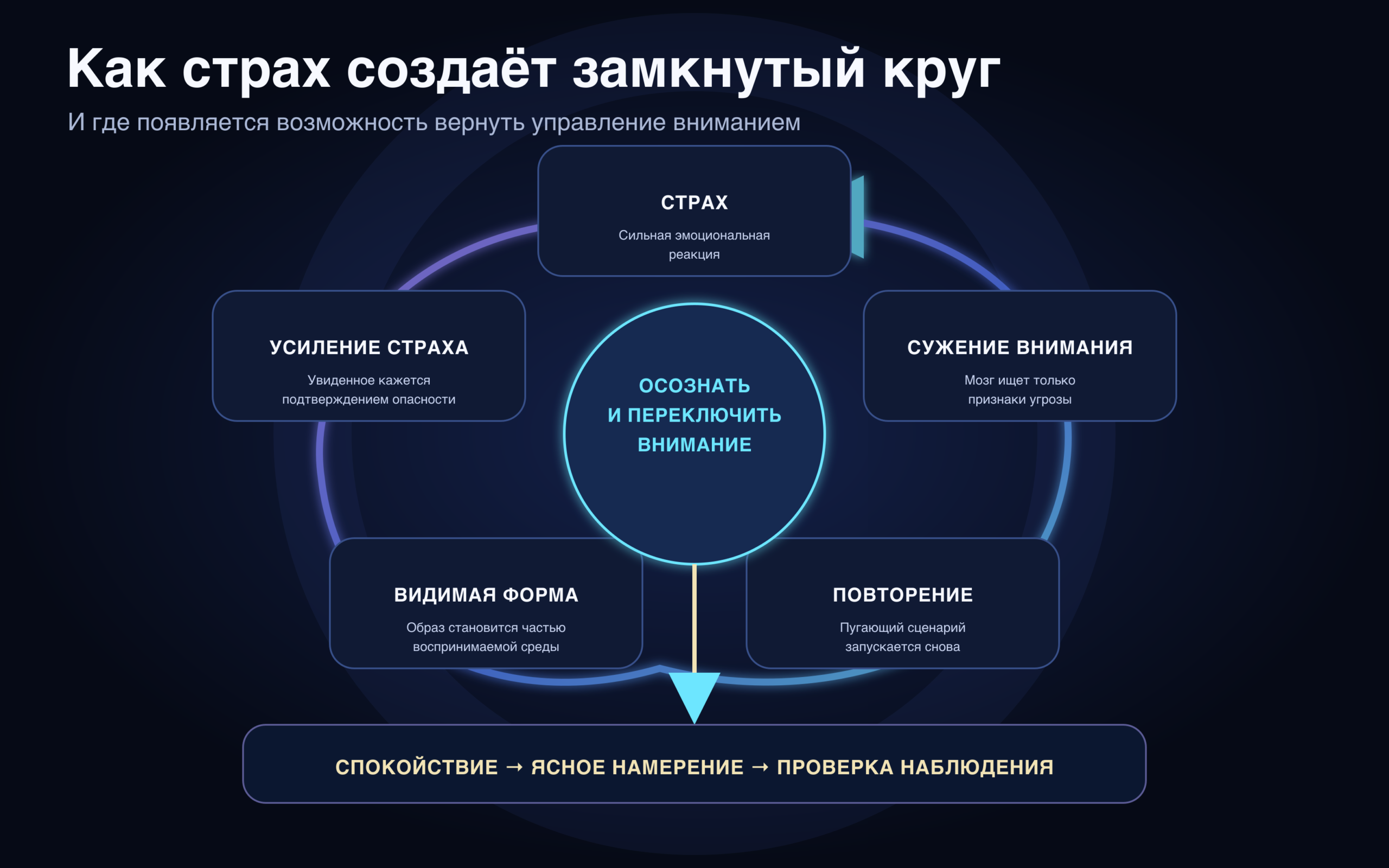 Круговая схема: страх сужает внимание, запускает повторение сценария, создаёт видимую форму и усиливает страх.