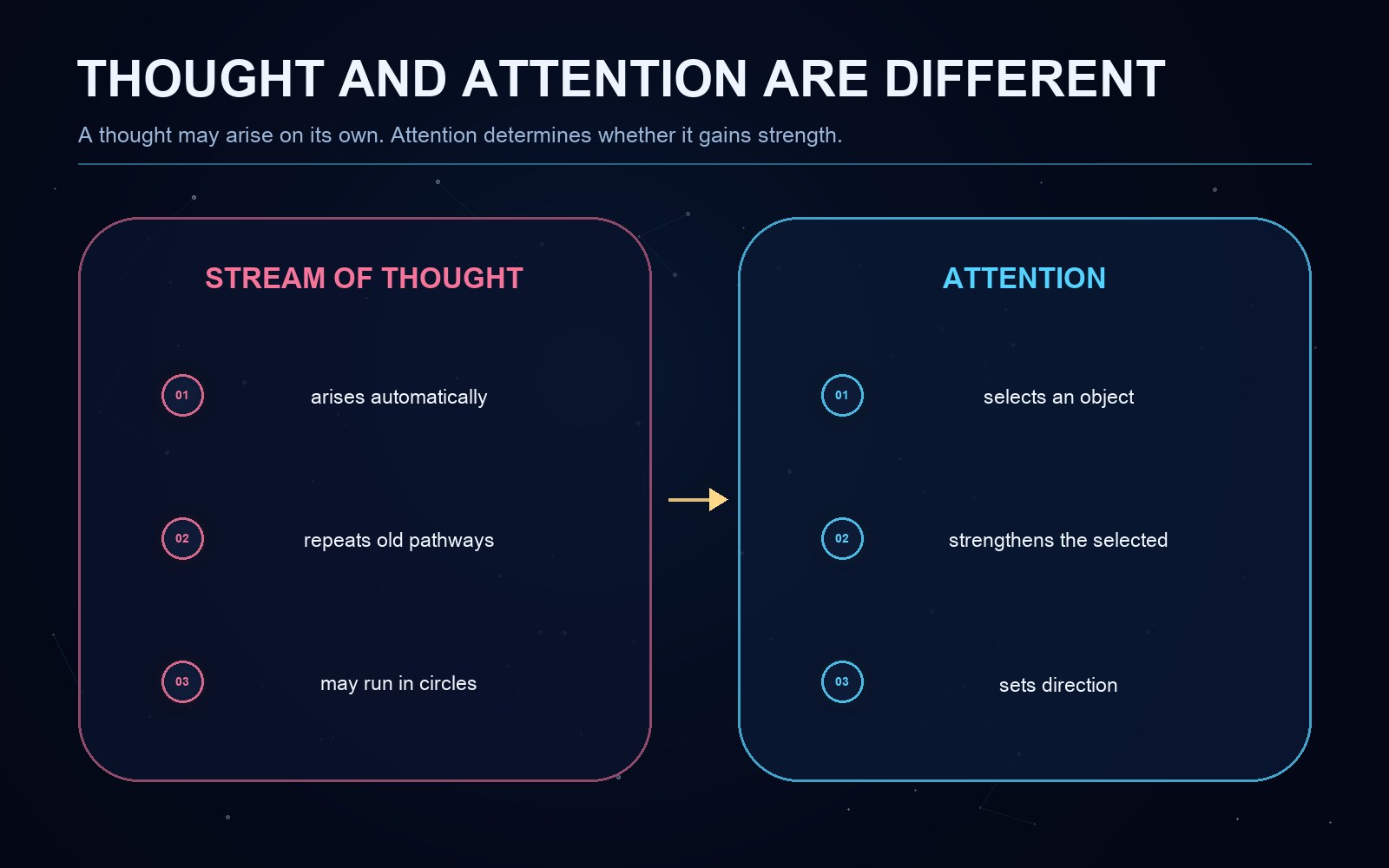 Explanatory diagram for the article
