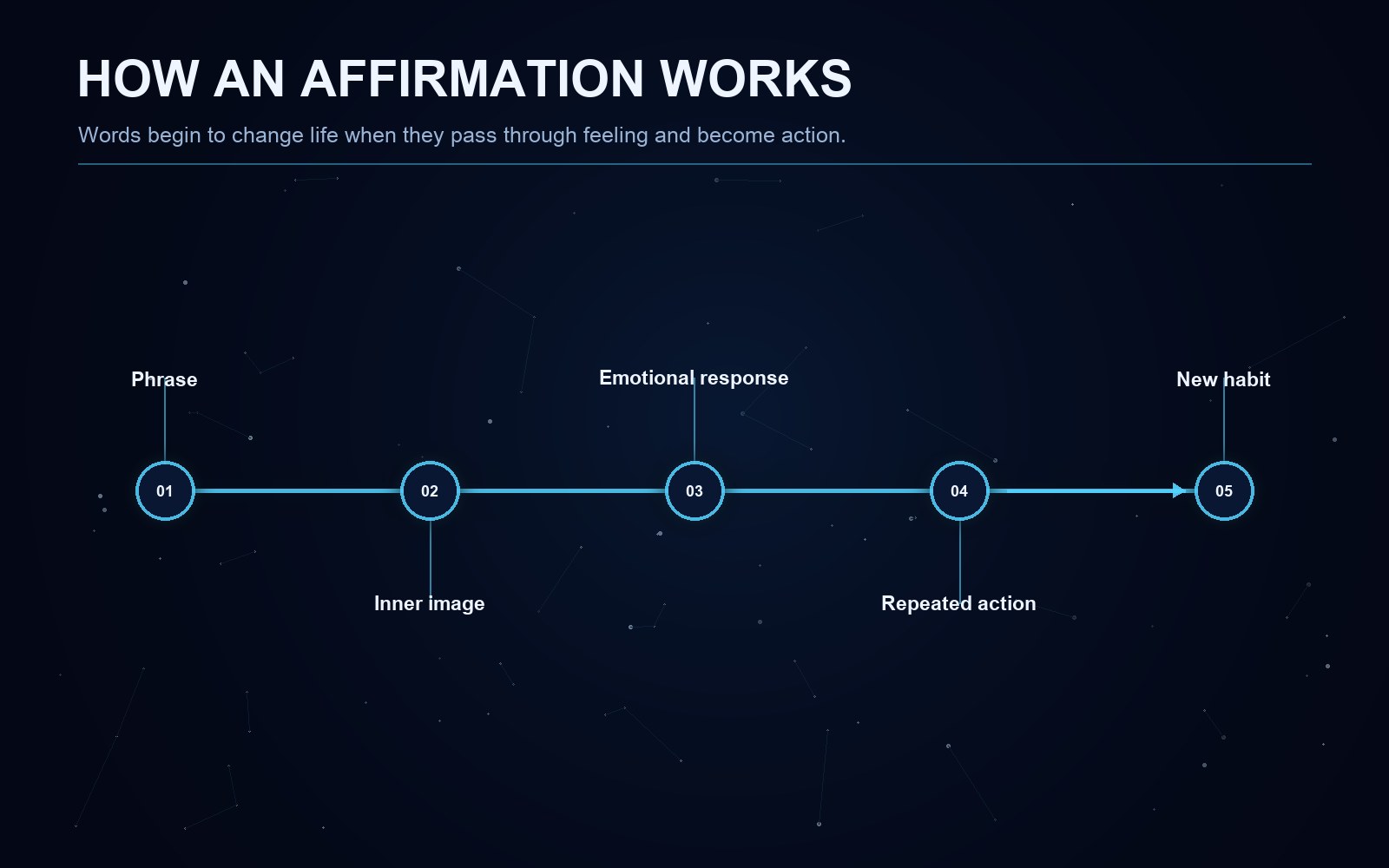 Explanatory diagram for the article