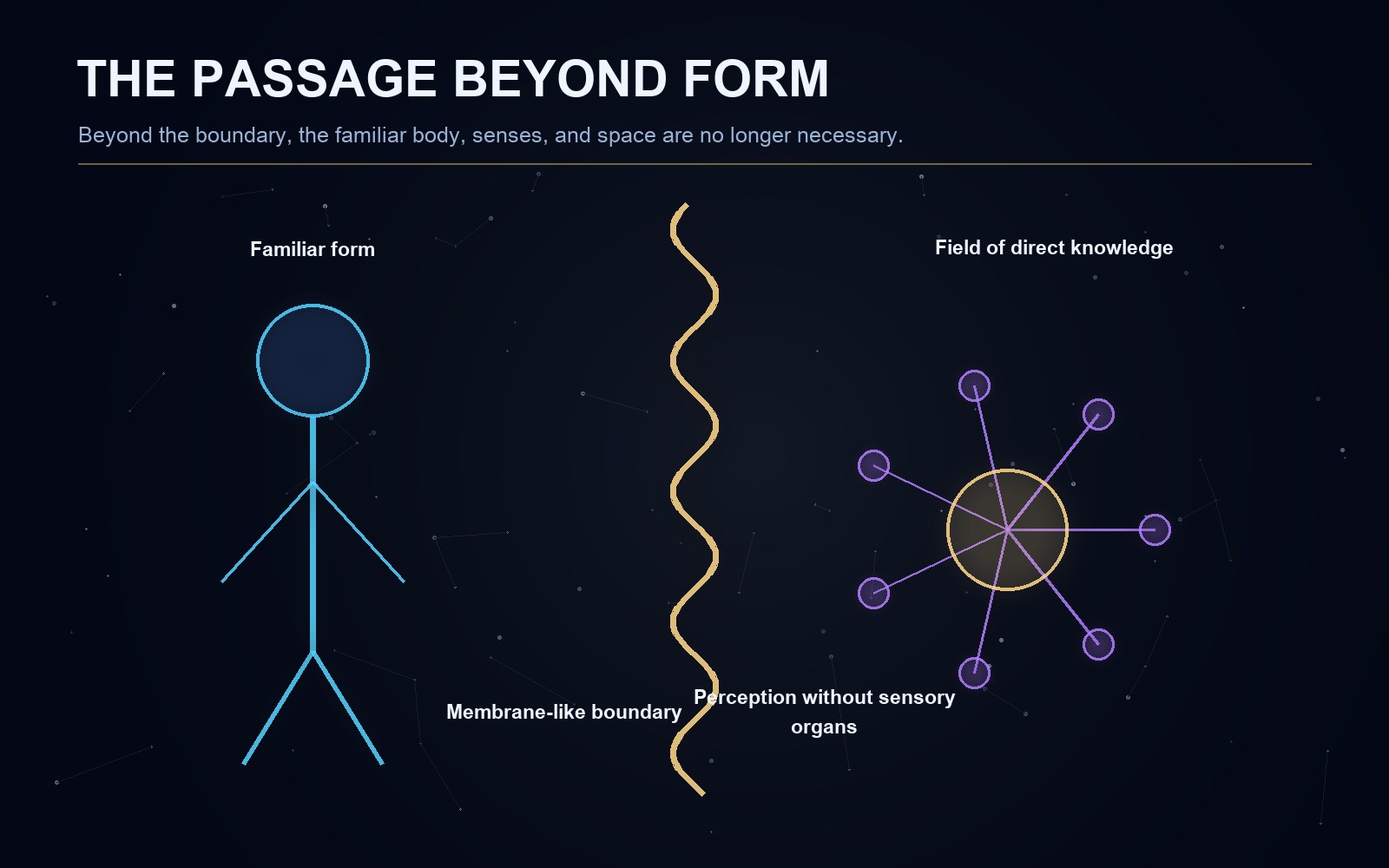 Explanatory diagram for the article