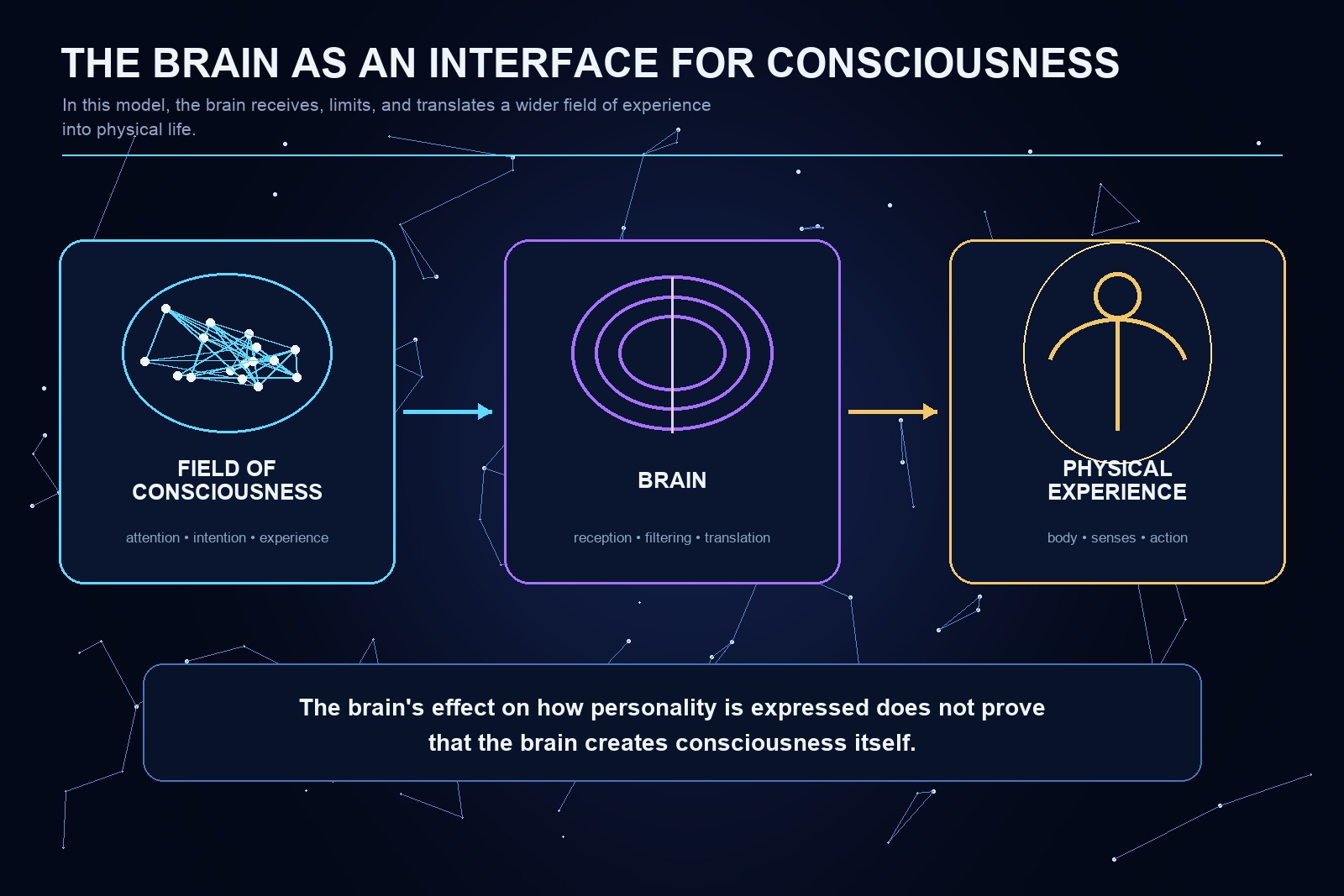 Diagram of the brain as an interface for consciousness