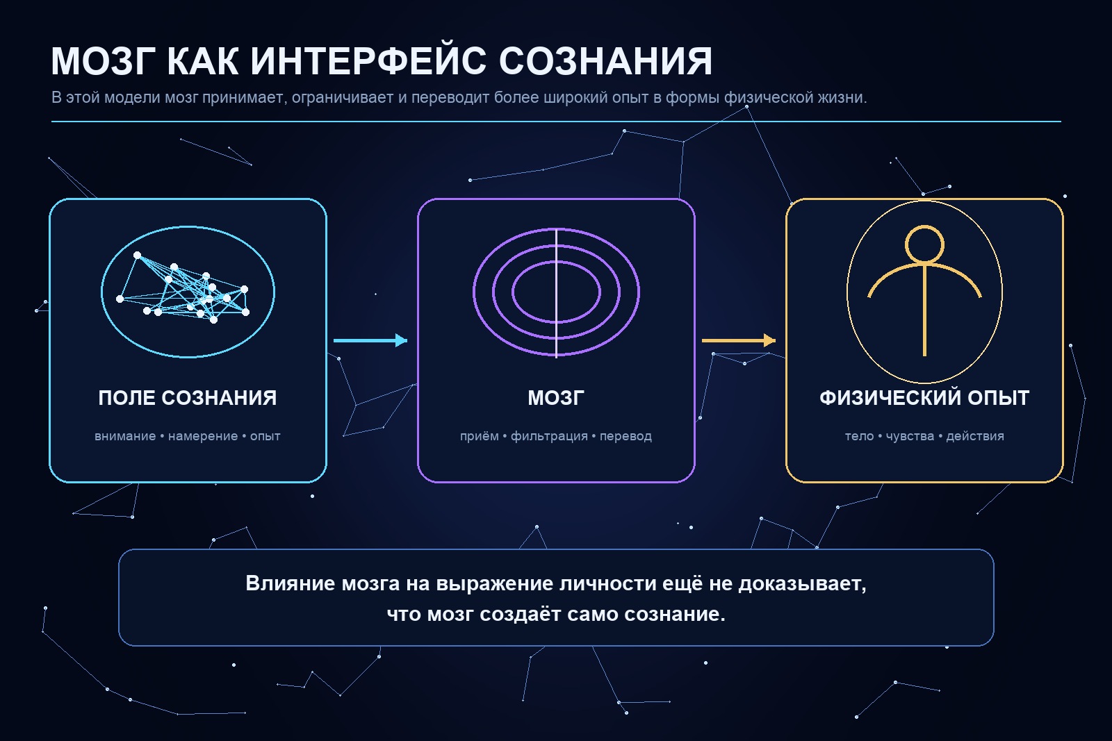 Схема мозга как интерфейса сознания